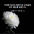 KakaoTalk_20221031_172935142.png